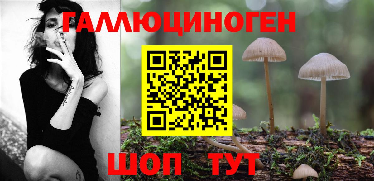Псилоцибиновые грибы GOLDEN TEACHER Великий Устюг